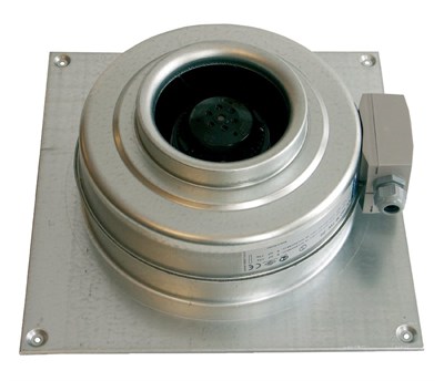 KV 125 M sileo