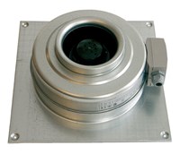 KV 125 M sileo